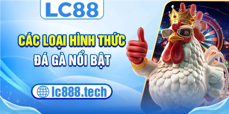 Các loại hình thức đá gà nổi bật