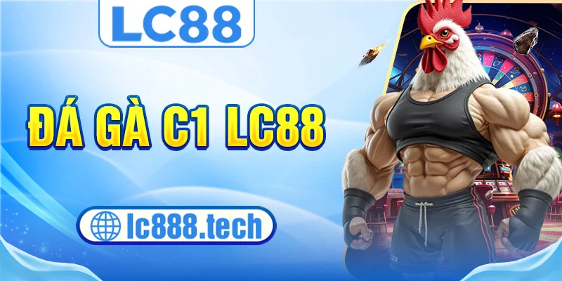 Ảnh đá gà c1 lc88