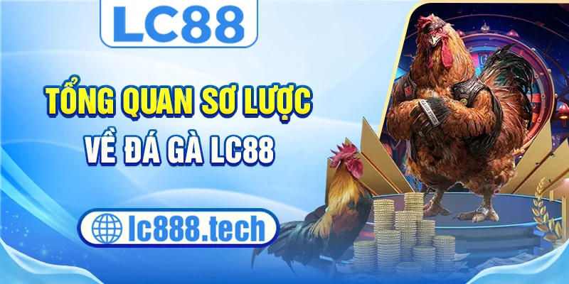 Tổng quan sơ lược về đá gà lc88